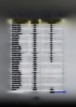 Πίνακας 2.