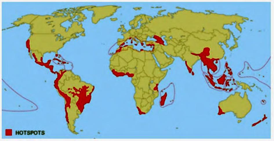 (hotspots) βιοποικιλότητας Μεσόγειος: 3 η