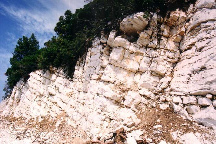 Κεφ. 2 ο Εικόνα 2-5: Ασβεστολιθικά πετρώματα στη δυτική πλευρά του Αίνου (Κατσούνη, 2006) 2.1.3.