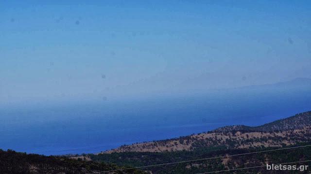 Αβγόνυμα!