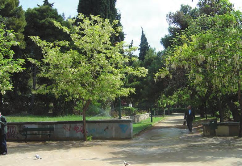 ελεύθερο χώρο με τα 150 δέντρα που υπάρχει γύρω από τον ναό του Αγίου Αθανασίου...».