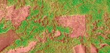 βιομάζας (Kg / ha) από δεδομένα lidar ύψος κόμης Εξίσωση: FB = 0.05 * TB TB = 5.5 + 0.