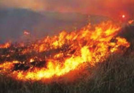 Ας δούμε μερικά από αυτά: Tα καρύδια Τα καρύδια είναι ένα παραδοσιακό ομαδικό παιχνίδι που παίζουν τα παιδιά. Οι κανόνες του παιχνιδιού έχουν ως εξής: Κάποιο παιδί χαράζει στο χώμα μια ευθεία γραμμή.
