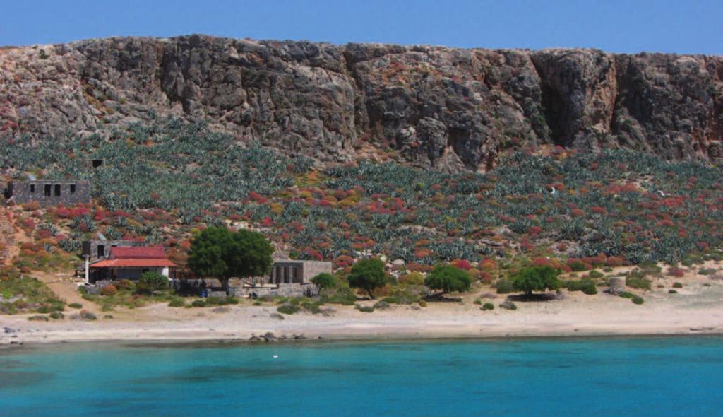 κατά τη διάρκεια της παραμονής τους στην χώρα μας.