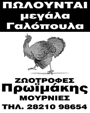 πρότζεκτ των μικρομεσαίων επιχειρήσεων. Ο κ.