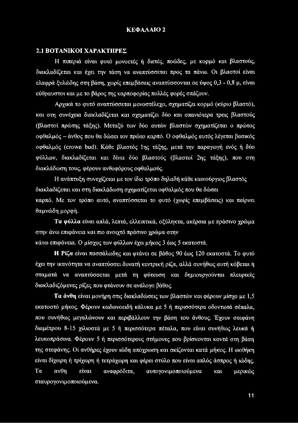 Αρχικά το φυτό αναπτύσσεται μονοστέλεχο, σχηματίζει κορμό (κύριο βλαστό), και στη συνέχεια διακλαδίζεται και σχηματίζει δύο και σπανιότερα τρεις βλαστούς (βλαστοί πρώτης τάξης).
