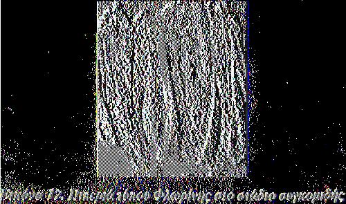 ΠΙΠΕΡΙΑ ΚΑΥΤΕΡΗ Υβρίδια: