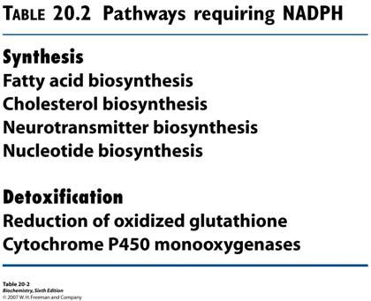 Metabolički putovi koji koriste NADPH Put pentoza fosfata 1.