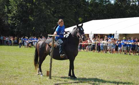 TEKMOVANJE V SPRETNOSTNEM JAHANJU-MLAKE 2011 Drugo avgustovsko soboto je na Mali Bukovici pri Ilirski Bistrici potekalo tradicionalno, letos že četrto tekmovanje v spretnostnem jahanju Mlake 2011, ki