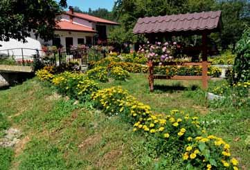 Foto utrinki CVETOČA HIŠA Pravljične hiške so nam znane predvsem iz pravljic. Prav takšna stoji tudi v naši sredini, ko se peljemo iz Bistrice proti Jelšanam, ob Dolenjskem potoku.