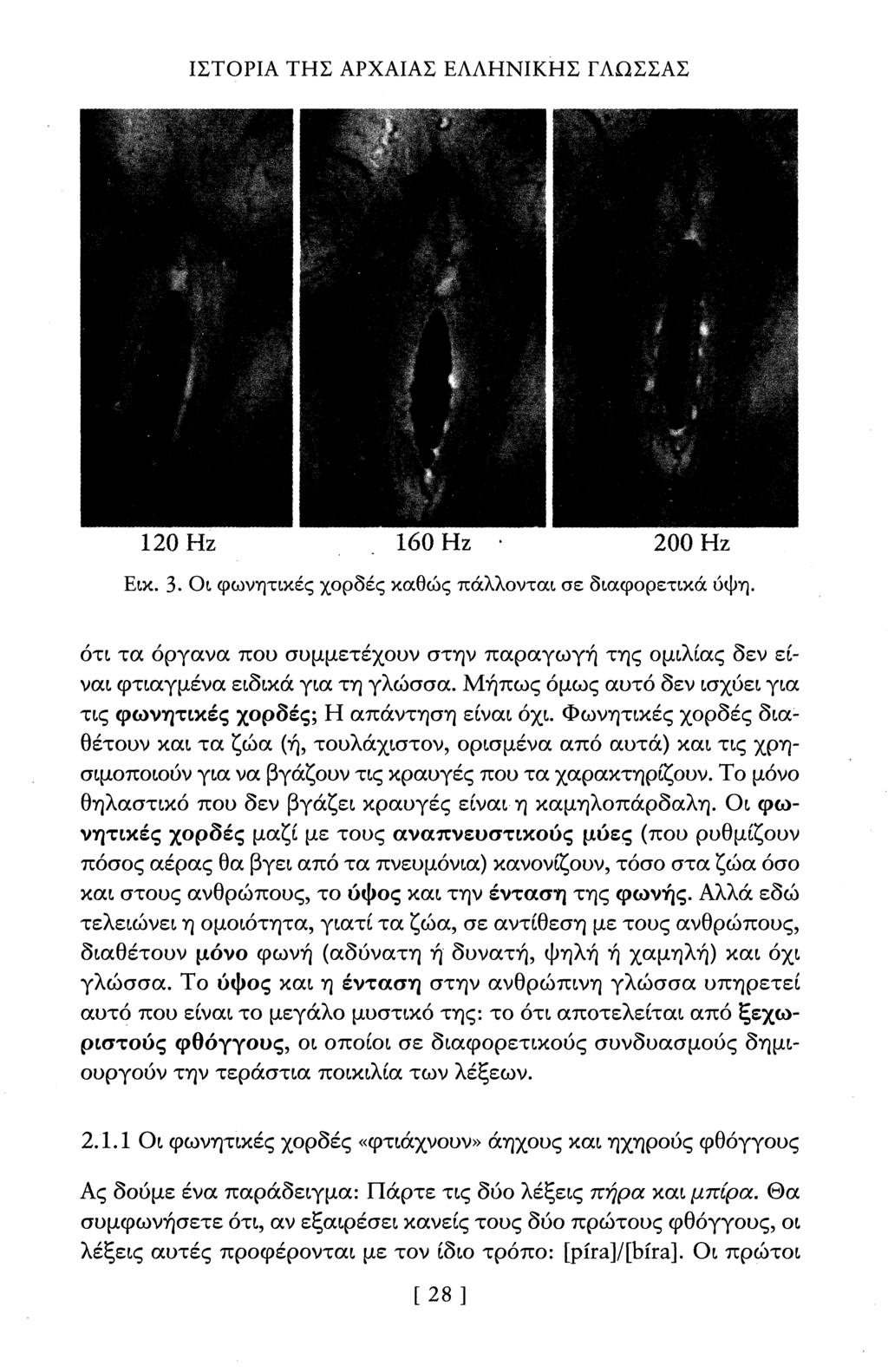ΙΣΤΟΡΙΑ ΤΗΣ ΑΡΧΑΙΑΣ ΕΑΑΗΝΙΚΗΣ ΓΑΩΣΣΑΣ 120 Ηζ 160 Ηζ 200 Ηζ Εικ. 3. Οι φωνητικές χορδές καθώς πάλλονται σε διαφορετικά ύψη.