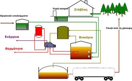 Συλλογή Μεταφορά Ζύμωση αποβλήτων αποβλήτων αποβλήτων Αποθήκευση αερίων Αποθήκευση υγρών Χρήση αερίων Χρήση υγρών Διάγραμμα 2: Περιγραφή διαδικασίας παραγωγής βιοαερίου από κτηνοτροφικά απόβλητα [28].