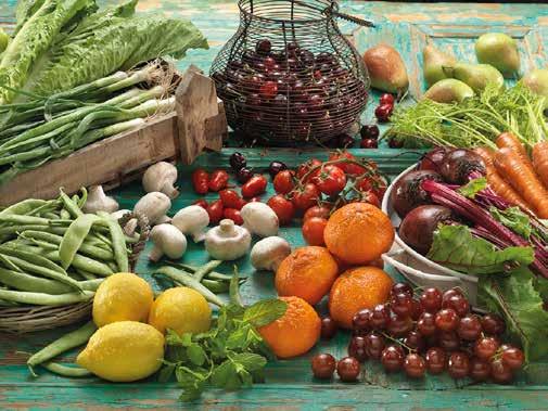 ΠΕΡΙΕΧΟΜΕΝΑ Φρούτα Μαθαίνοντας να καταναλώνουµε φρούτα και λαχανικά κάθε εποχής σωστά παρέχουµε γευστικότερα και πιο θρεπτικά γεύµατα στους αγαπηµένους µας µπαίνουµε στο ρυθµό της Φύσης ενισχύουµε