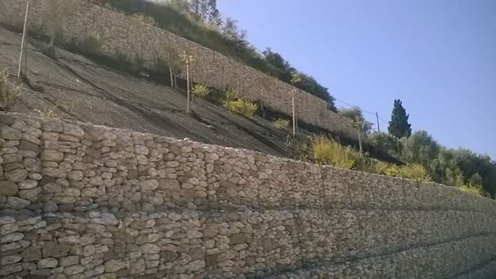 ΤΕΧΝΟΛΟΓΙΚΟ ΕΚΠΑΙΔΕΥΤΙΚΟ ΙΔΡΥΜΑ ΔΥΤΙΚΗΣ ΕΛΛΑΔΑΣ ΣΧΟΛΗ ΤΕΧΝΟΛΟΓΙΚΩΝ ΕΦΑΡΜΟΓΩΝ ΤΜΗΜΑ ΠΟΛΙΤΙΚΩΝ ΜΗΧΑΝΙΚΩΝ Τ.Ε. ΠΤΥΧΙΑΚΗ ΕΡΓΑΣΙΑ ΑΝΤΙΣΤΗΡΙΞΕΙΣ ΕΔΑΦΩΝ ΜΕ ΣΥΡΜΑΤΟΚΙΒΩΤΙΑ.
