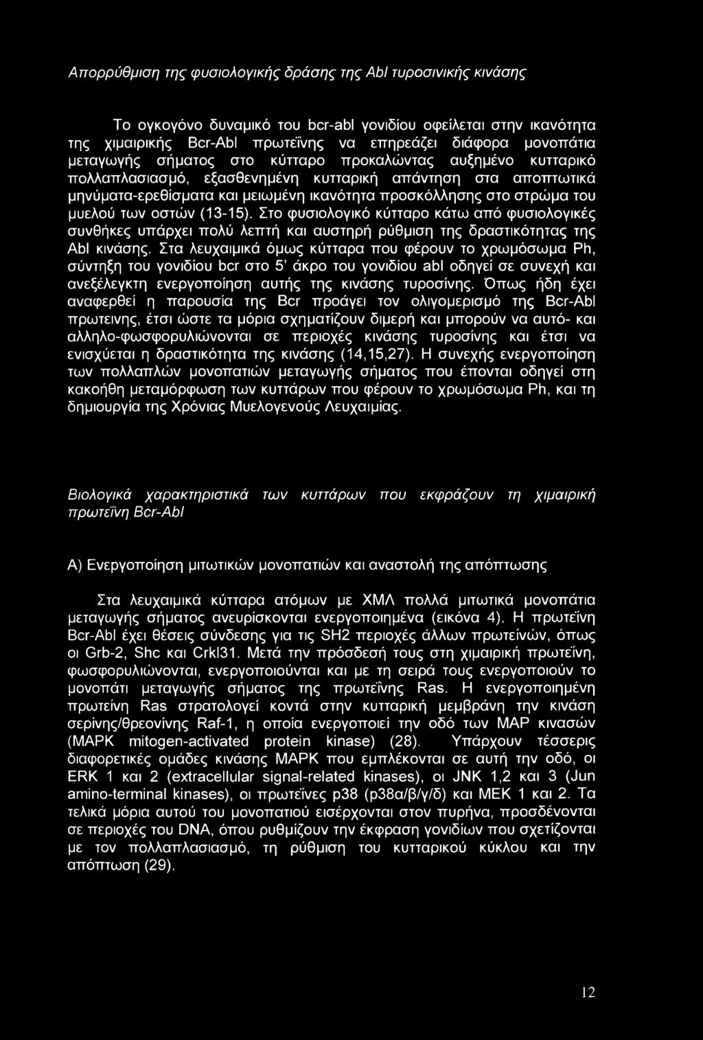 μυελού των οστών (13-15). Στο φυσιολογικό κύτταρο κάτω από φυσιολογικές συνθήκες υπάρχει πολύ λεπτή και αυστηρή ρύθμιση της δραστικότητας της Abl κινάσης.