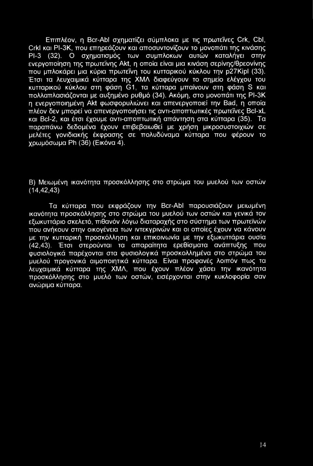 Έτσι τα λευχαιμικά κύτταρα της ΧΜΛ διαφεύγουν το σημείο ελέγχου του κυτταρικού κύκλου στη φάση <31, τα κύτταρα μπαίνουν στη φάση S και πολλαπλασιάζονται με αυξημένο ρυθμό (34).