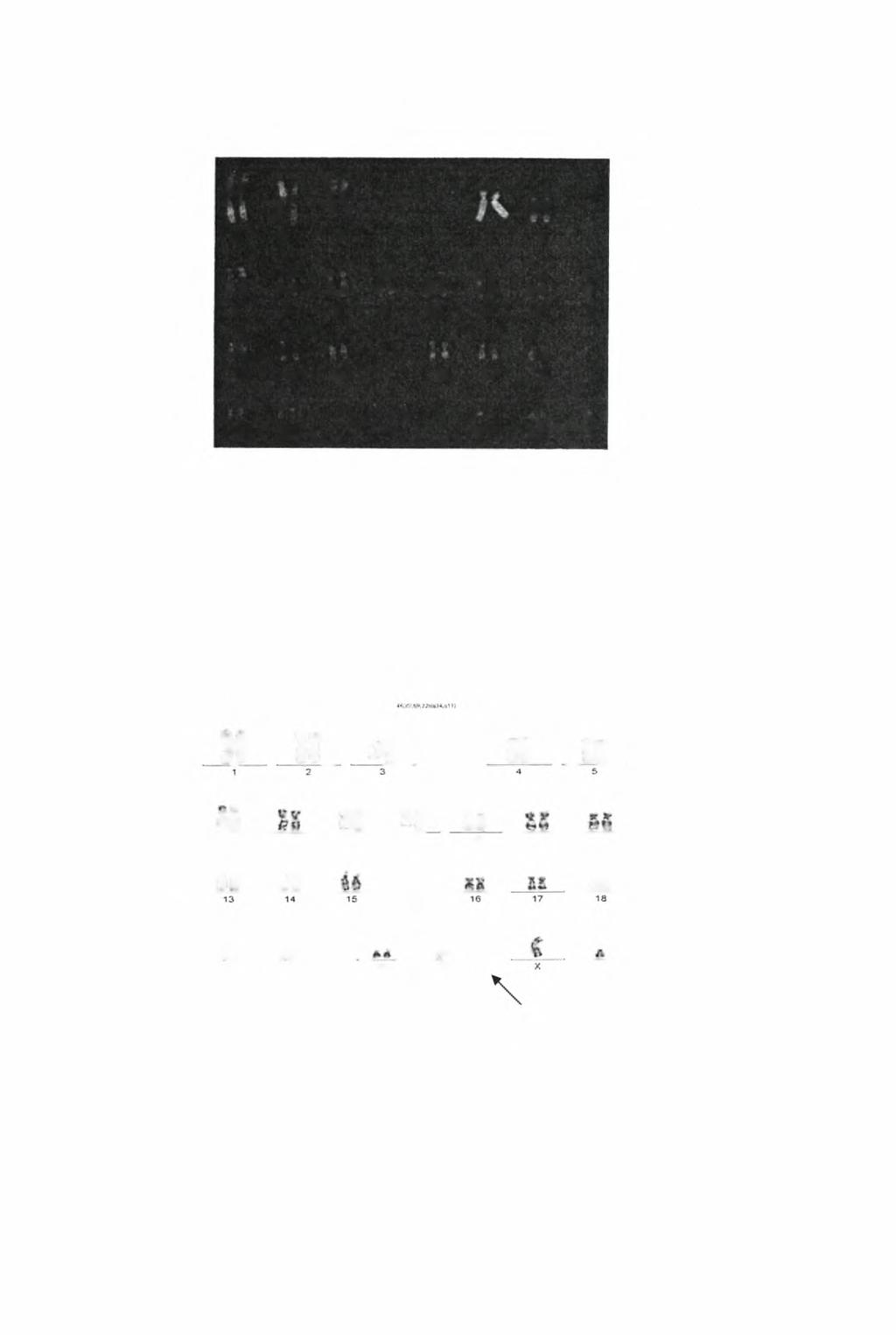 1! / ΪΚ # ii si f 1 1 2 3 4 5 8 3 * f # f ' V * * t f ί 1 # 1 8 fe > ft t i k # i 6 7 8 9 10