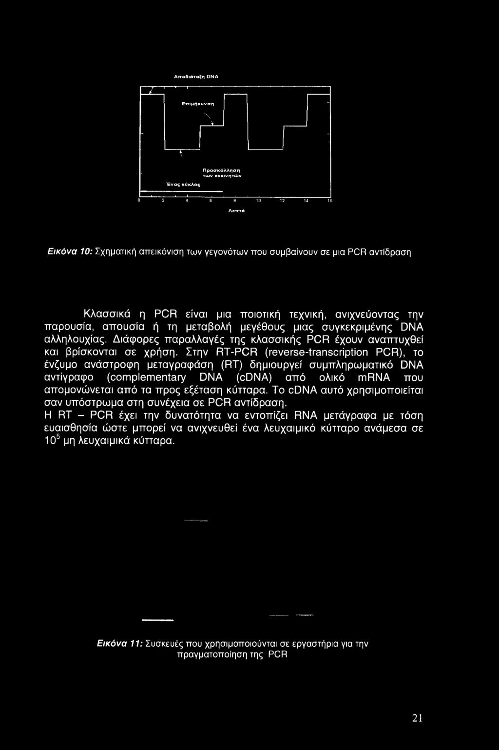 αντίδραση Κλασσικά η PCR είναι μια ποιοτική τεχνική, ανιχνεύοντας την παρουσία, απουσία ή τη μεταβολή μεγέθους μιας συγκεκριμένης DNA αλληλουχίας.