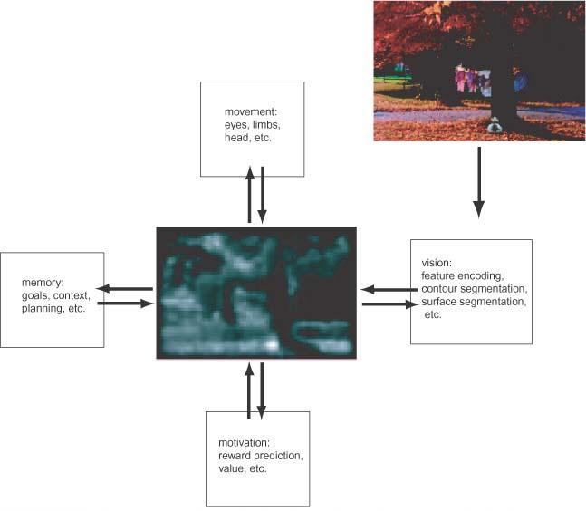 Salience maps integrate information about a wide variety of behavioral cues relevant for directing attention, whether these cues are from the visual, cognitive, motor, or motivational domains.