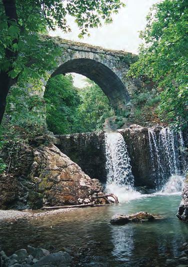 124 ΣΤΑ ΑΡΧΑΙΑ ΧΡΟΝΙΑ ΚΕΦΑΛΑΙΟ 40 Η υποταγή του ελληνικού κόσμου Οι Ρωμαίοι, αφού νίκησαν τους Καρχηδόνιους, θέλησαν να υποτάξουν και τους Έλληνες.