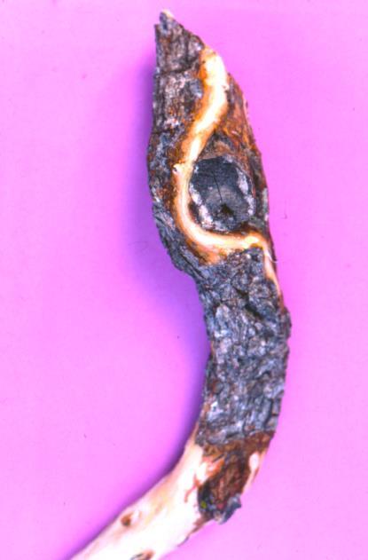 9.