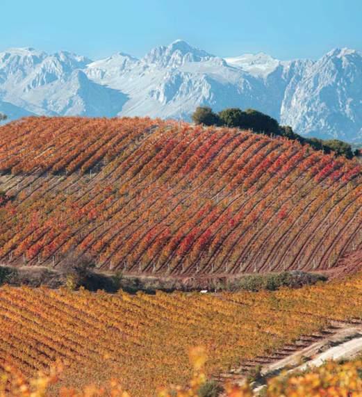 ΦΘΙΩΤΙΔΑ Γαστρονομία Wine Routes ΦΘΙΩΤΙΔΑ Η επίσκεψη σε οινοποιεία είναι μια εκδρομή που απευθύνεται σε λάτρεις του κρασιού και της γαστριμαργίας.