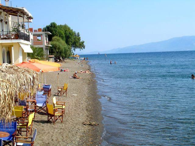 Οι Αμερικανοί τουρίστες επιζητούν πλούσιες εμπειρίες και αναμνήσεις από τα ταξίδια τους. Ενδιαφέρονται επίσης για καινοτόμες, ασυνήθιστες και συναρπαστικές μορφές ψυχαγωγίας.