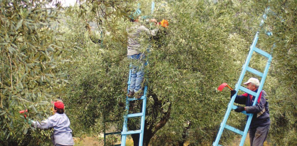 Ζαχαρένια μούμια site γνωριμιών στην Γκάνα