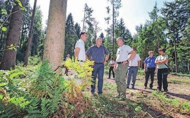 Maja Bertoncelj Ljubljana Veliki kohezijski projekt Odvajanje in čiščenje odpadne vode na območju vodonosnika Ljubljanskega polja je trenutno največji tovrstni projekt pri nas, postopki za pridobitev