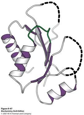 Primjer katalize približavanjem. Nukleozid monofosfat (NMP) kinaze kataliziraju prijenos fosforilnih skupina a da pri tome ne dolazi do hidrolize. Tipičan predstavnik je adenilat kinaza.