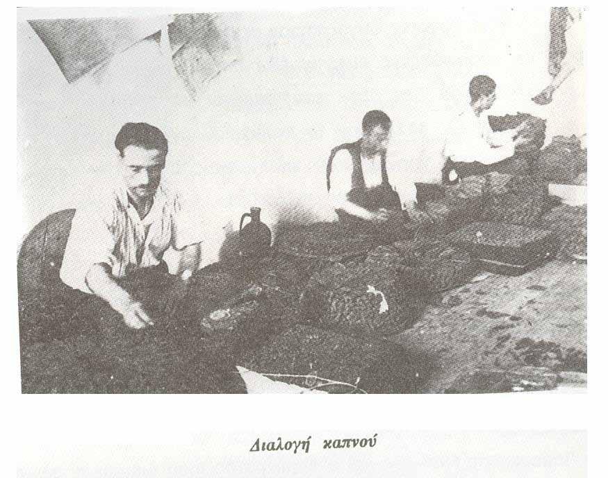 τους, καταβλήθηκαν προσπάθειες για να περιορισθεί στο ελάχιστο δυνατό όριο το κόστος των καπνών.