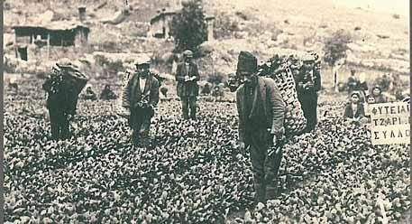 Σε δευτερογενές επίπεδο, πραγματοποιείται η επεξεργασία του προϊόντος σε δύο φάσεις, τη χωρική και την εμπορική επεξεργασία, ενώ ο τριτογενής τομέας αναπτύσσεται με τη γέννηση του εμπορίου ανατολικών