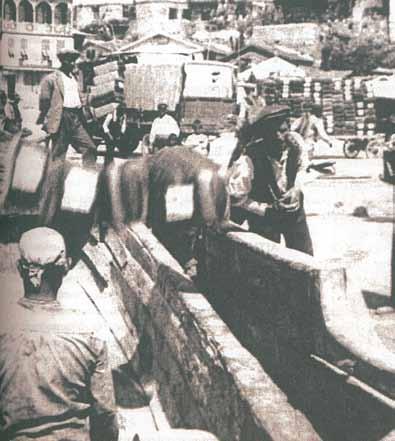 4.1 Η ανάπτυξη του καπνού στην Καβάλα Στην Ανατολική Μακεδονία και τη Θράκη η συστηματική καλλιέργεια καπνού αρχίζει πριν στο 1821.