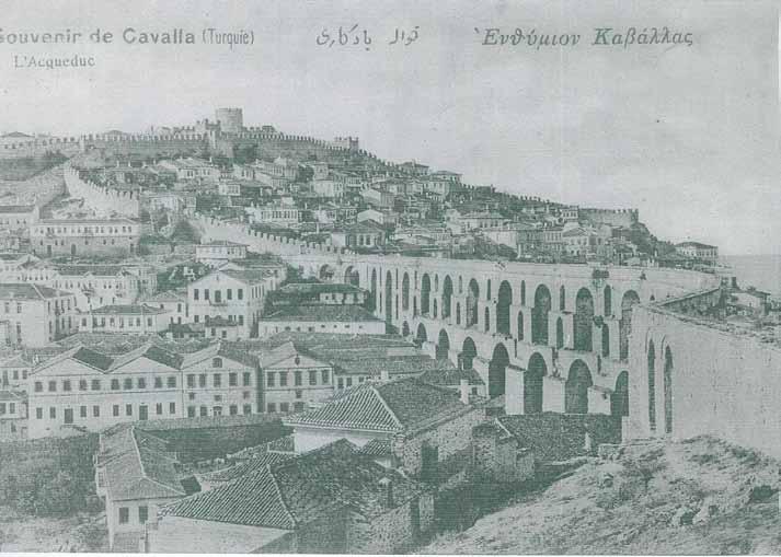 Το «μαμούδι» δύναται να καταστρέψει όλο το καπνό μέσα σε μία σεζόν που συνεπάγεται την καταστροφή της επιχείρησης, σύμφωνα με τον σημερινό κληρονόμο της κο Ααρών Τσιμίνο.