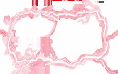 MILWAUKEETOOL M8 CHIWF2-502X M8 FIW-502X M8 FPD-502X M8 FID-502X M8 FQID-502X 493345064 49334506 ΠΑΛΜΙΚΟ ΚΑΤΣΑΒΙΔΙ 4 493345066 SURGE ΠΑΛΜΙΚΟ ΚΑΤΣΑΒΙΔΙ 4 493345790 489,00 M8 FDD-502X 459,00 M8