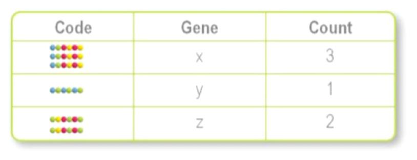Εικόνα 1: Υβριδοποίηση CodeSet στο mrna mrna Ανιχνευτές σύλληψης & αναφοράς Μετά την υβριδοποίηση, όλα τα βήματα κάθαρσης του δείγματος είναι αυτοματοποιημένα στο Σταθμό Prep ncounter.