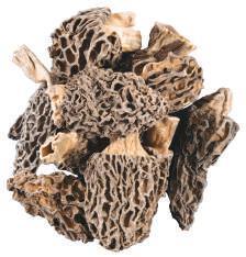 Η Φιλοσοφία μας Our Philosophy ΜΑΝΙΤΑΡΙΑ (ΑΦΥΔΑΤΩΜΕΝΑ) MUSHROOMS (DEHYDRATED) Μορχέλες Morchelles Extra Selection Κανθαρέλες Chanterelles Σιτάκε Shiitakes Μαύρες Τρομπέτες Black Trumpets Μείγμα