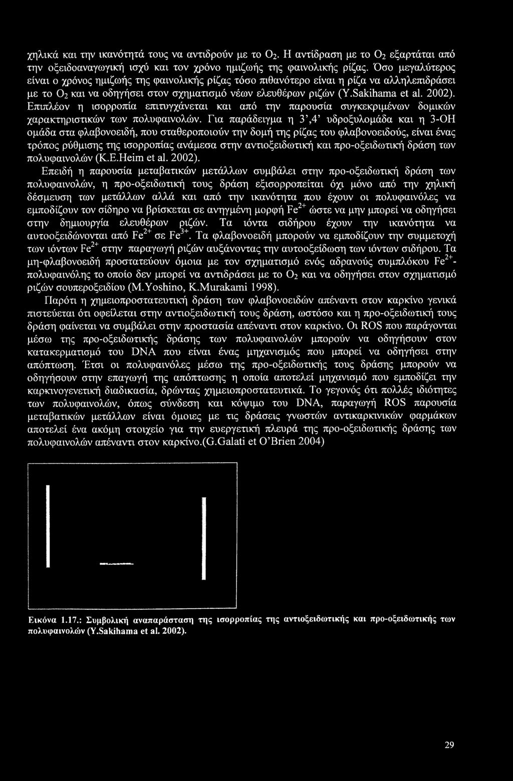 Επιπλέον η ισορροπία επιτυγχάνεται και από την παρουσία συγκεκριμένων δομικών χαρακτηριστικών των πολυφαινολών.