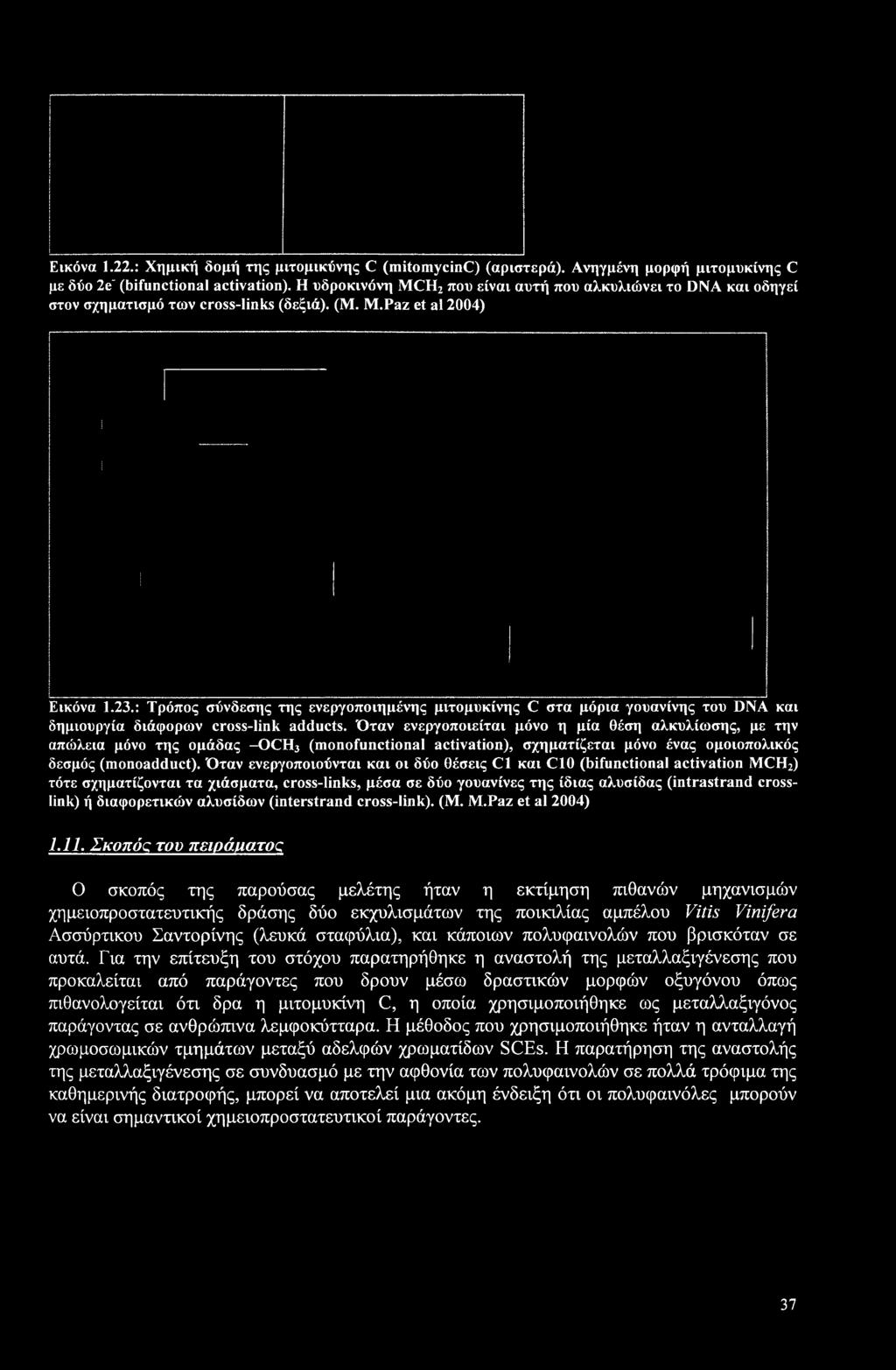 : Τρόπος σύνδεσης της ενεργοποιημένης μιτομυκίνης C στα μόρια γουανίνης του DNA και δημιουργία διάφορων cross-link adducts.