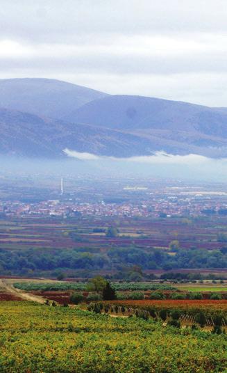 ΜALVASIA DI CANDIA AROMATICA ΣΤΟ ΚΟΝΑΚΙ H ΤΟΥ ΒΑΚΧΟΥ Φυσικό κάλλος, πανάρχαια αµπελοοινική παράδοση και σύγχρονα οινοποιεία - διαµάντια συνθέτουν το απόλυτο σκηνικό για ανάπτυξη του οινοτουρισµού: Η