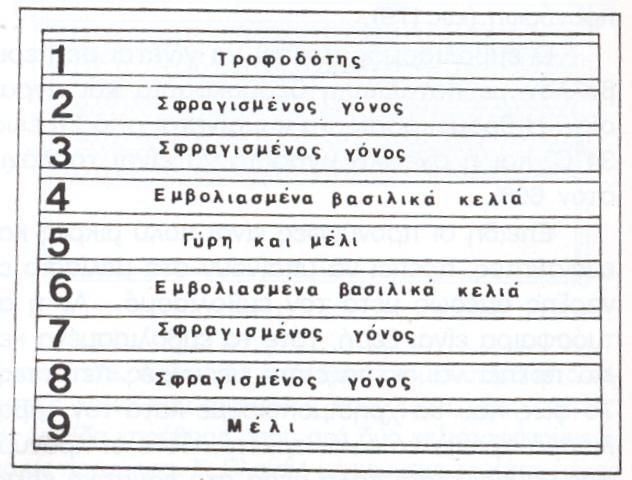 τοποθετώντας στη θέση του το πλαίσιο µε τα εµβολιασµένα τεχνητά κελιά, τα οποία αρχίζουν αµέσως να φροντίζουν οι παραµάνες µέλισσες.
