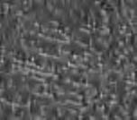 * Mh * * «S " * W *»/ '«.». ' fji it y y ' ' i I» > ; ' ' Λ. '. - -s ' :,. ' ' ' -'s: 1-.