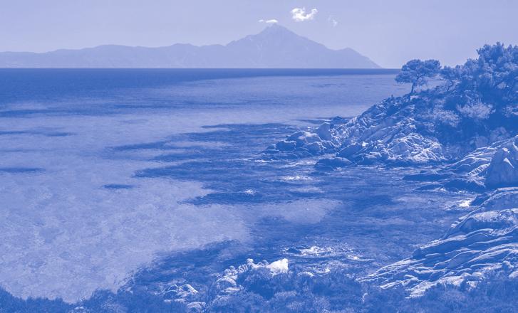 και γεύμα στο όμορφο παραλιακό θέρετρο. Έπειτα για ΠΟΡΤΟ ΚΟΥΦΟ, Ν. ΜΑΡΑΜΑΡΑ στάση στην όμορφη κωμόπολη χτισμένη αμφιθεατρικά στο δυτικό τμήμα της χερσονήσου της ΣΙΘΩΝΙΑΣ. Επιστροφή στο ξενοδοχείο.