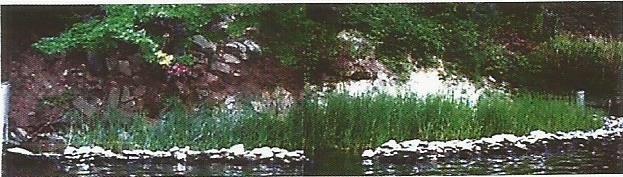 Доц. д-р Фросина ИЛИЕВСКА Слика 8. Проектирано водно живеалиште Попречниот пресек на проекираното решение за реглација река Лепенец е прикажано во продолжение. Слика 9.