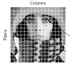 Ψηφιοποίηση - 2D Μια αναλογική εικόνα a (x, y) σε ένα συνεχές διάστημα 2D Η συνεχής εικόνα διαιρείται σε σειρές N και στήλες Μ Η τομή μιας