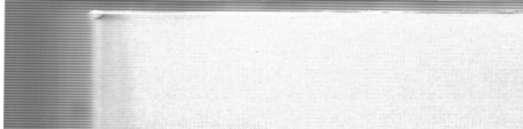 THEORETICAL and
