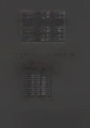 Οι 15 πρώτες 96,95% 71,41% Οι 20 πρώτες 99,38% 77,81% 1998 Ασφαλίσεις Ασφαλίσεις Ζωής Ζημιών Οι 5 πρώτες 66,14% 46,64% Οι 10 πρώτες 86,91% 58,61%