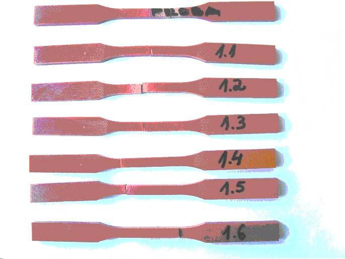 Fig. 3.2.: Epruvetele din polimerul Necuron 13