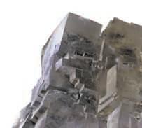 ربط ببرونا APOE وCLU. وكان الخالا الدبقة الصغرة ال قر إلى هذا المسقبل الئران أقل عالة امصاص مركبا ا أ الملود المربطة بالبرون الدهن وقام بهضمها بشكل أبطأ من الخالا الطبعة.