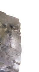 وقد م ربط طرا الجنا ال رم ز TREM2 وAPOE وCLU بمرض ألزهامر وهكذا ظ ه ر النائج كة ربط عوامل الخطر الجنة المخلة لك ببعضها البعض.